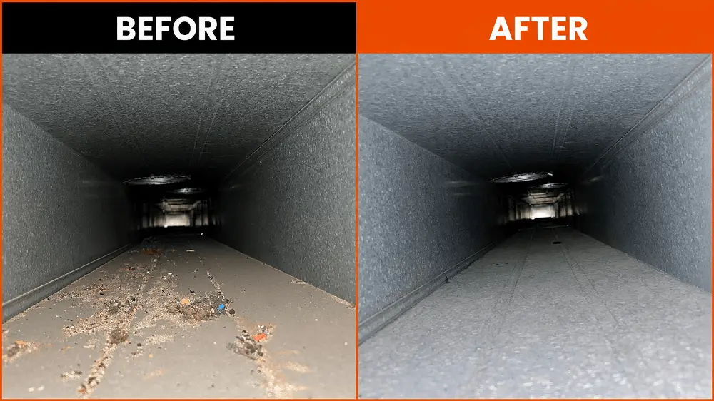 Before and after dryer vent and duct cleaning for a Clinton Township, MI homeowner